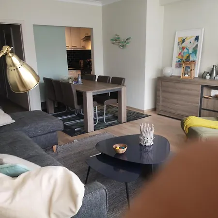 Luxurious T3 Garage, View On The Noordzee, 2-6 P Baby In Plein Center Appartement Ostende